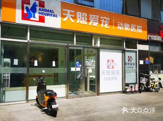 北京寻找一起去母猫绝育团券的小伙伴