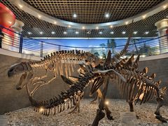 -国家自然博物馆