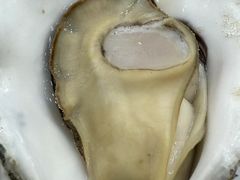 -海香园饭店