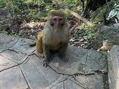 -黔灵山公园