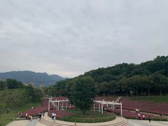 -牛岗山公园