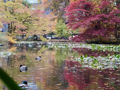 -北海道厅旧本厅舍(旧本庁舎)