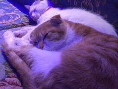 -星宿秘码(鼓浪屿老店)