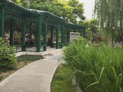 -西海子公园