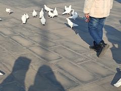 -天津妈祖文化园