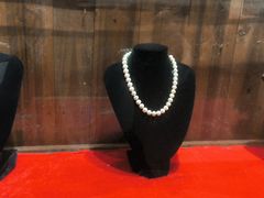 -北海金海湾红树林生态旅游区