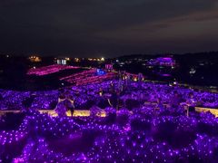 -大塘金香草谷