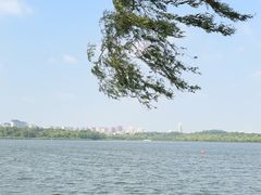 -长春市南湖公园