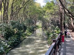 -同里国家湿地公园