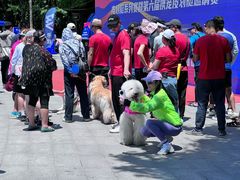 -南翔镇银翔湖公园