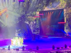 -珠海横琴长隆《卡卡虎奇遇记》