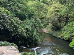 -碧峰峡风景区