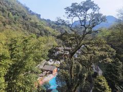 -峨眉山风景名胜区