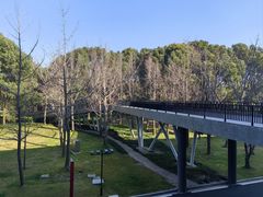 -中国浦东干部学院