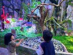 -正佳雨林生态植物园