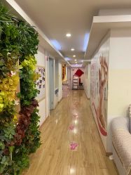 -康乃馨·馨悦佳人(鹭江店)