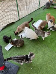 -萌宠亲子动物乐园(槐房万达店)