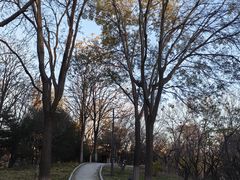 -燕郊植物园