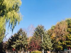 -东北农业大学饺子园