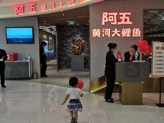 -阿五黄河大鲤鱼(海尚店)