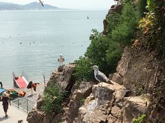 -海驴岛(荣成市)