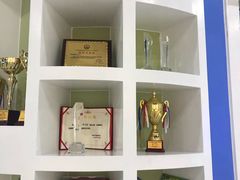 -常青藤国际象棋(新奥店)