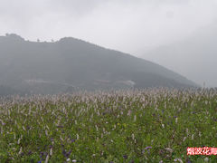 -驼梁风景区