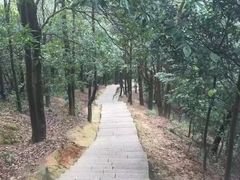 -阳台山森林公园