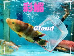 -欧记·龙城港(欣都店)
