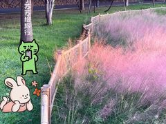 -牛岗山公园