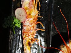 -梅筑·创意料理(王府井百货店)