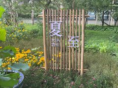 -莲花池公园