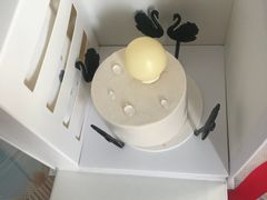 -BLACKSWAN黑天鹅(环球店)