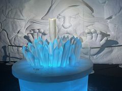 -海合安武汉极地海洋公园