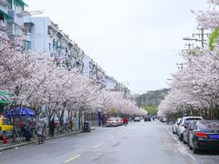 -永乐路-路侧停车场