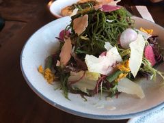 蔬菜沙拉伴海草油醋味噌-FISH&POTATO Cō(地中海美食 万象城店)