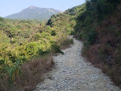 -银瓶嘴森林公园