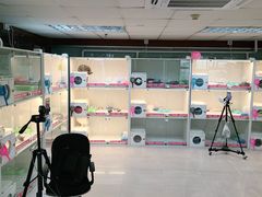 -lincat·猫舍(广州店)