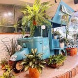 冲这环境！！我真的不会再去了