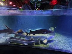 -左海海底世界
