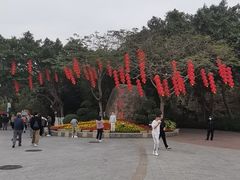 -野狸岛