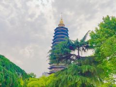 -红梅公园