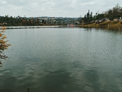 -枫香湖儿童公园