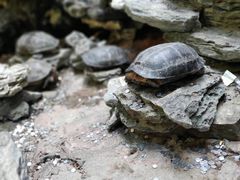 -古龙峡云天玻霸