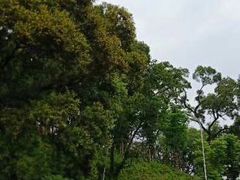 -飞凤山奥体公园