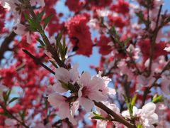 -永定河休闲森林公园