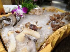 -老诚一锅羊蝎子(黄寺大街店)