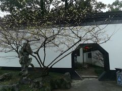 -上海醉白池公园