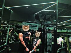 -W FITNESS 威尔仕健身·游泳(老西门新苑店)
