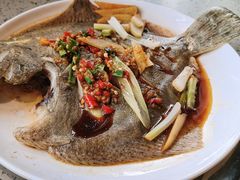 -四海蒸鲜蒸汽海鲜自助(北戴河店)